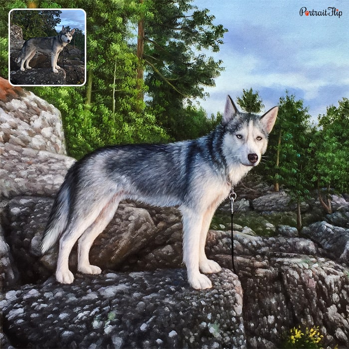 Acrylic painting of husky dog standing on a rock which is on cliff